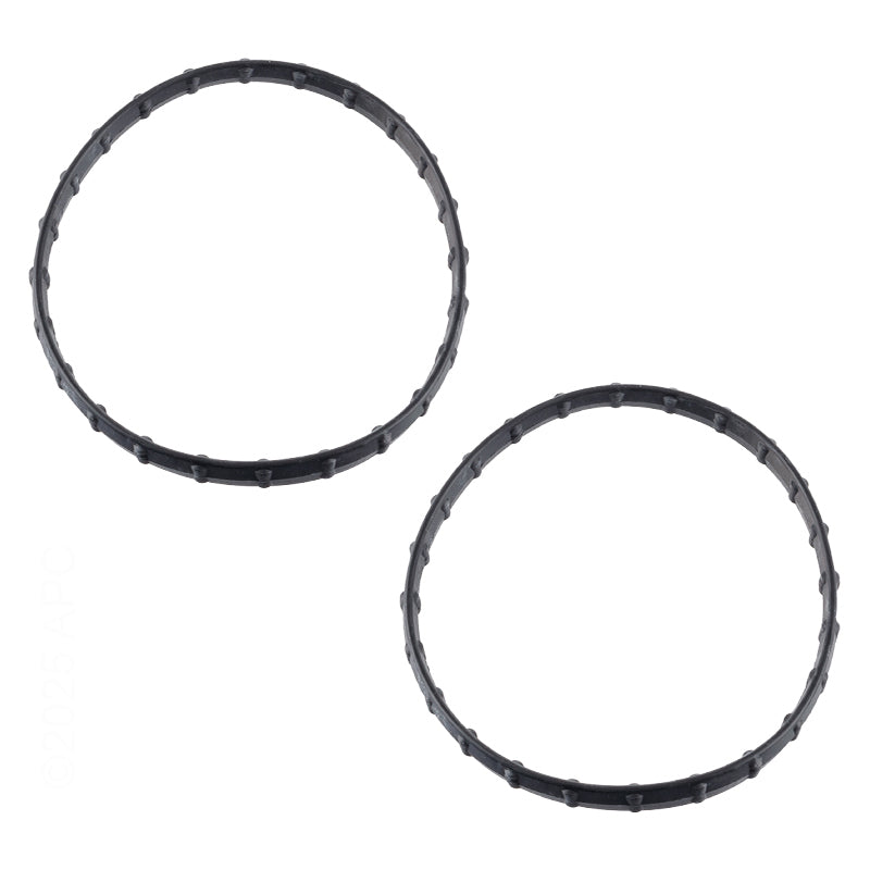 Pentair Kit Seal Diamond 2.403 Rplcmnt - 178746Z