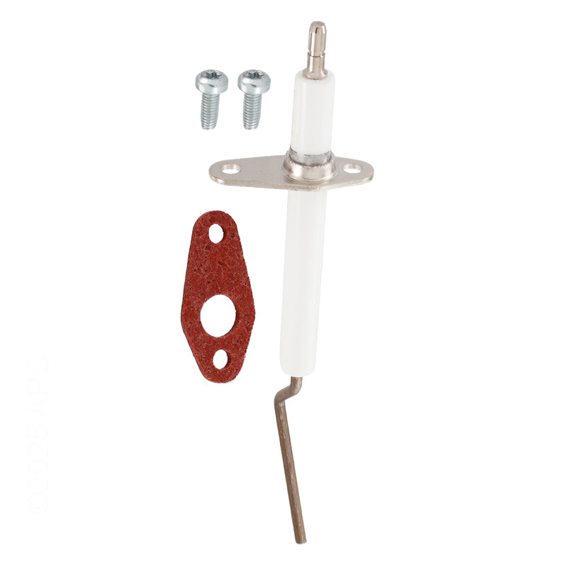 Pentair Flame Sensor Replacement Kit | 462023Z