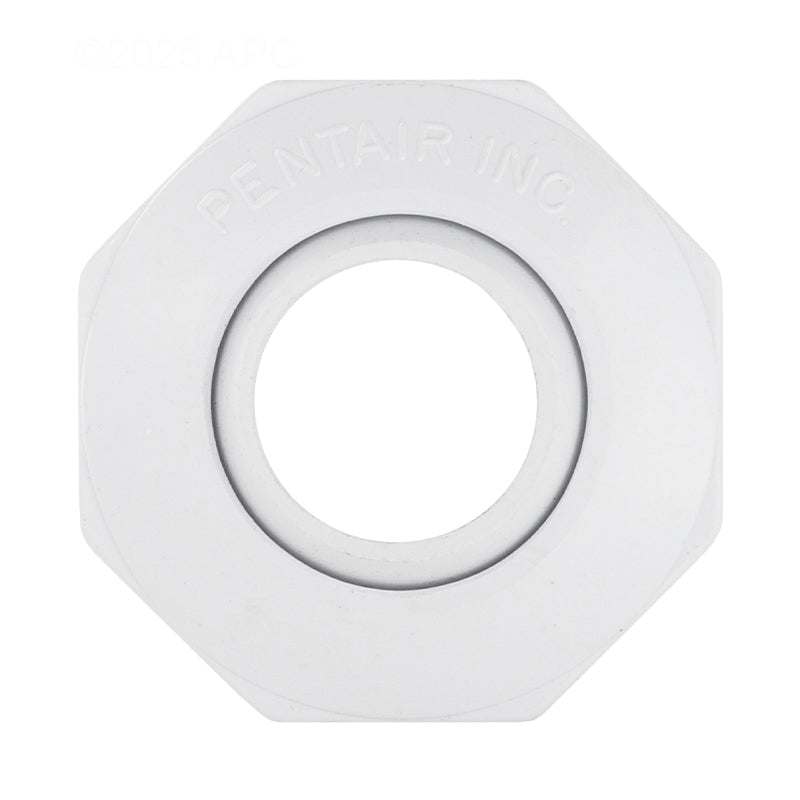 Pentair Water Pool and Spa Inc Insider Eyeball Fitting 1"S White Economy - 542000