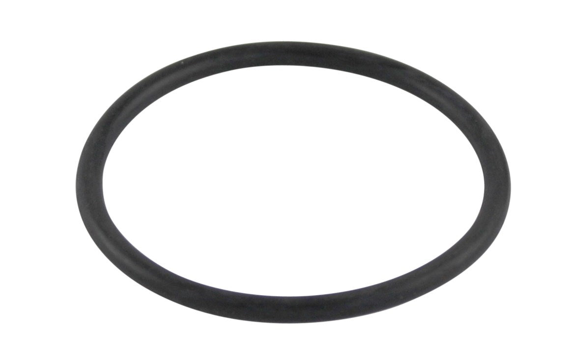 PENTAIR WATER POOL AND SPA INC UNION ORING SUPERFLO/ SUPERMAX | 6020018Z