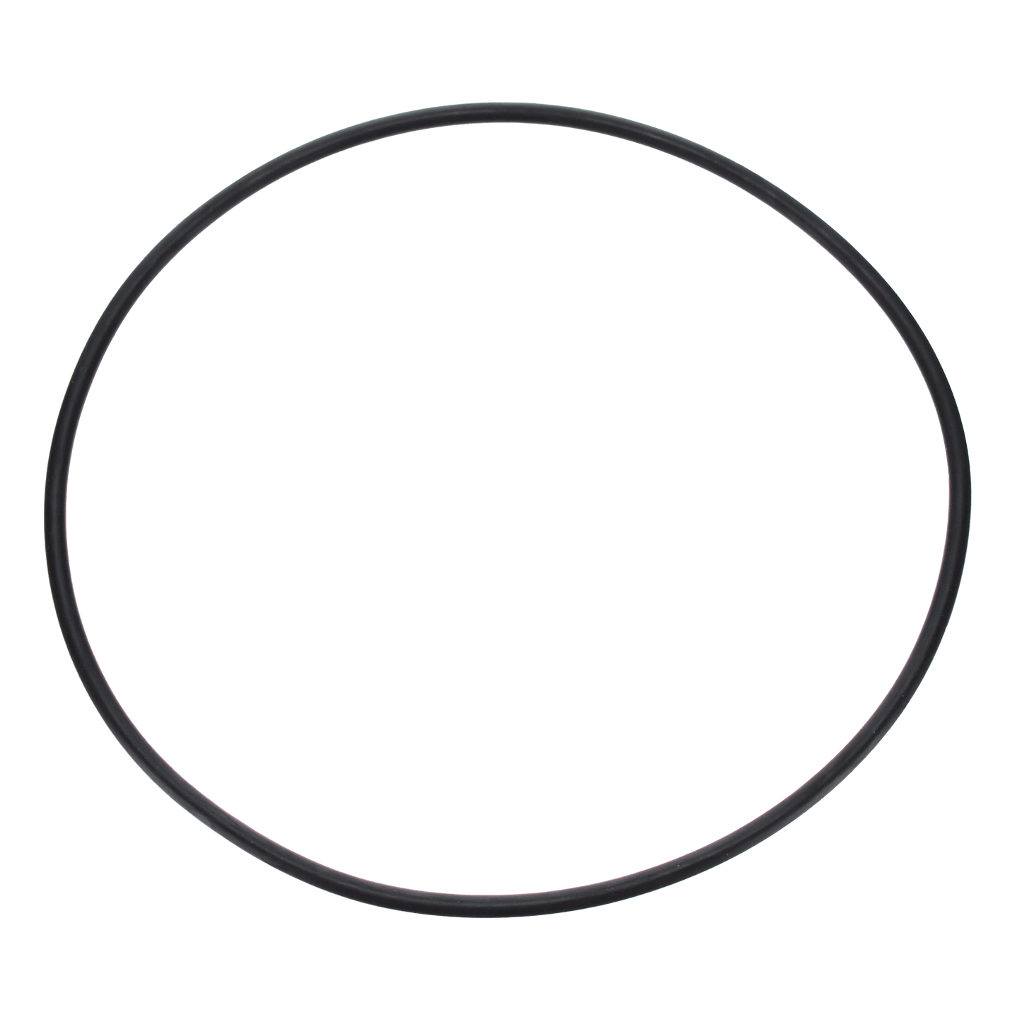 Pentair Seal Plate O-Ring | U9-228AZ