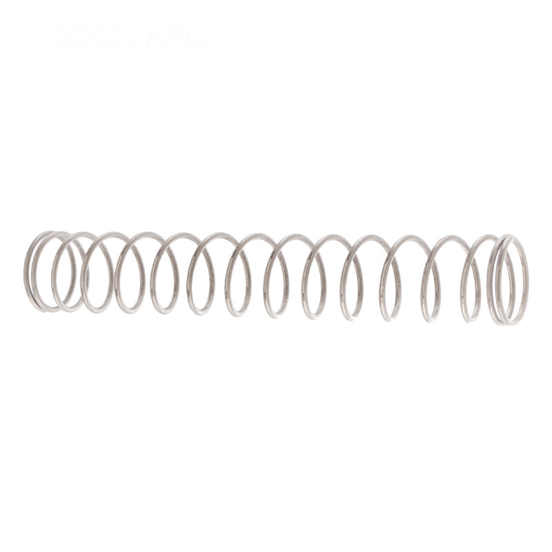 Pentair Spring SS 3 lb - 072524Z