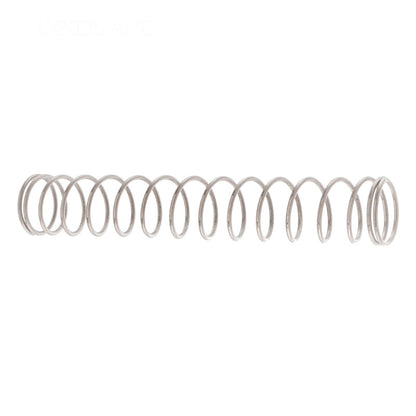 Pentair Spring SS 3 lb - 072524Z