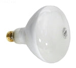 Pentair Amerilite Pool Light Bulb 400 Watt - 120V