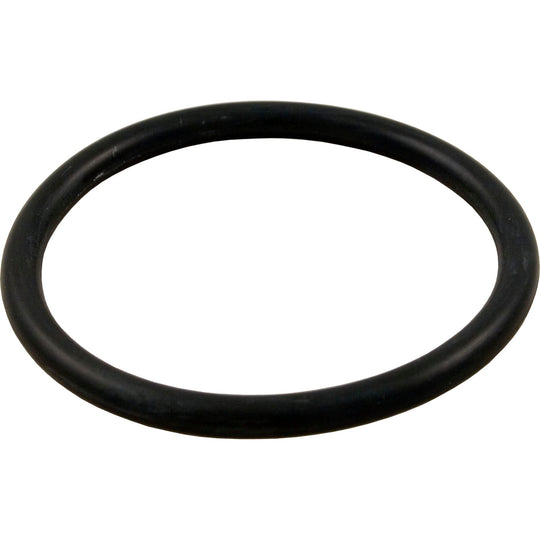 Pentair O-Ring 2-332 VLV ADPT - 274494Z