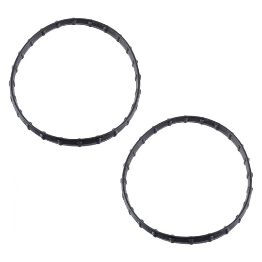Pentair Kit Seal Diamond 2.403 Rplcmnt - 178746Z