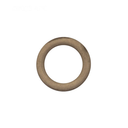 Pentair O-Ring Drain Plug - 192115Z