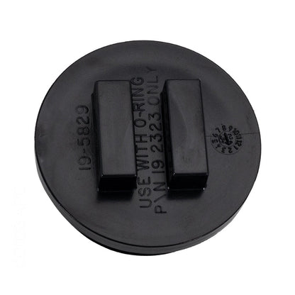 Pentair Plug-2In W/ O-Ring - 195830