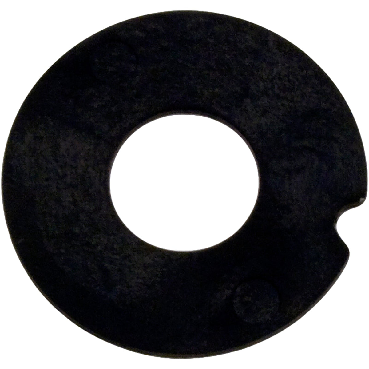 Pentair Wshr .760X1.875X.062 Plastic Washer Pentair - 272505Z