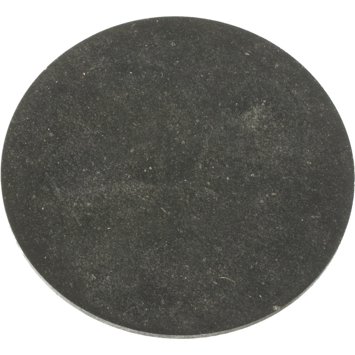 Pentair Water Pool and Spa Inc Sand Drain Gasket - 154715Z