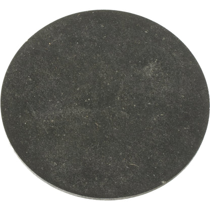 Pentair Water Pool and Spa Inc Sand Drain Gasket - 154715Z