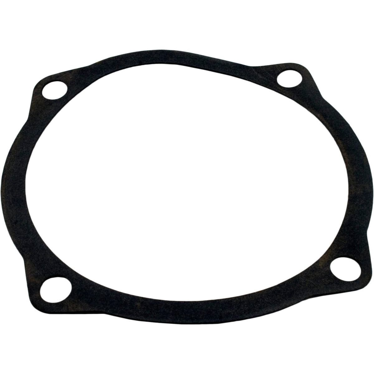 Waterco Volute Gasket - 19B5025