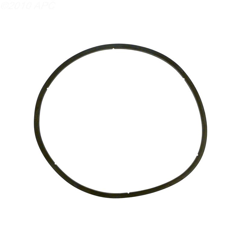 PENTAIR GASKET EQ LID