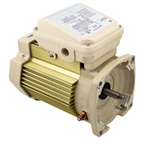 Pentair 354815S motor