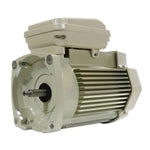 Pentair 354821S Motor