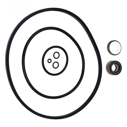 Pentair Seal Set Maxpro/Intelpro EPDM & - 356196