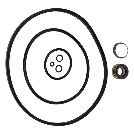 Pentair Seal Set Maxpro/Intelpro EPDM & - 356196