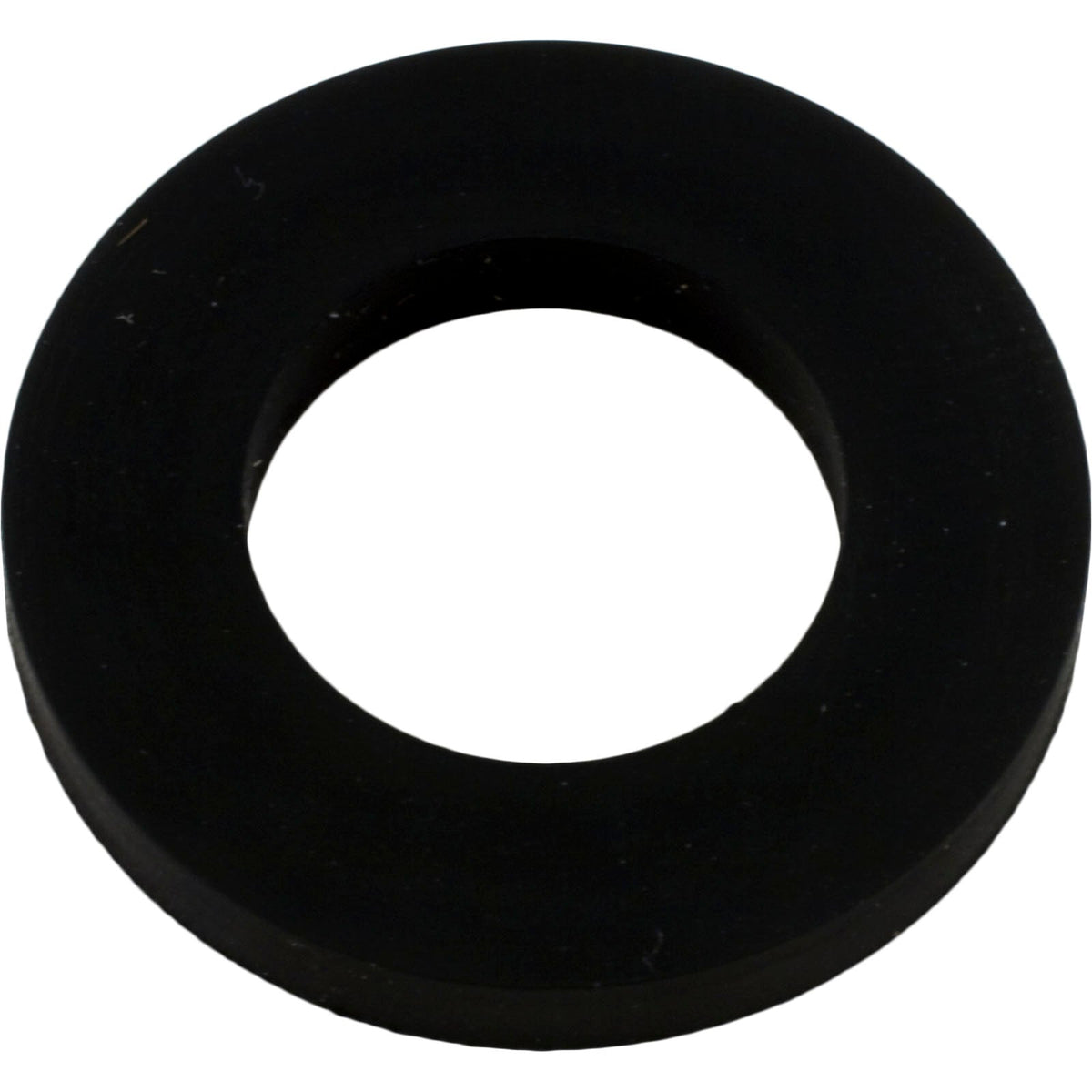 Pentair Gasket Saddle 300-29X 1Inod X .550Inid - R172263Z