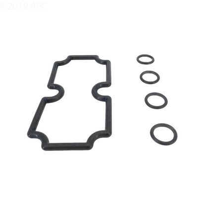 Pentair O-Ring Kit Mt125 - 474973