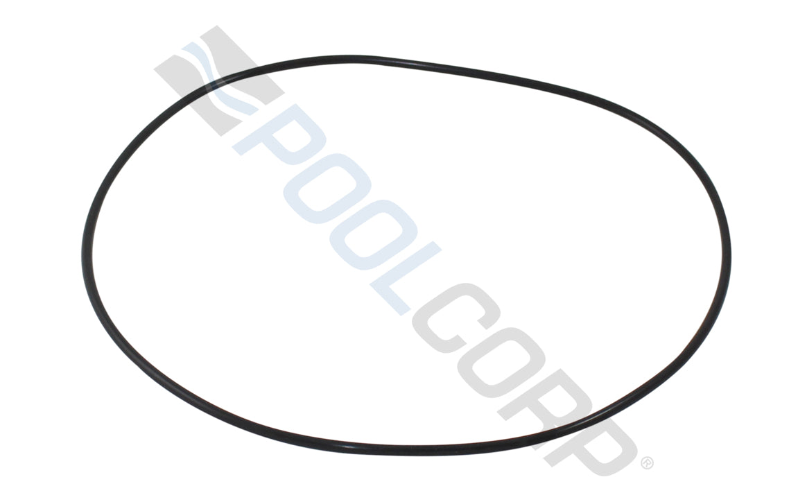 Pentair 521507 O-Ring For Chemical Container Lid 5 per Pack