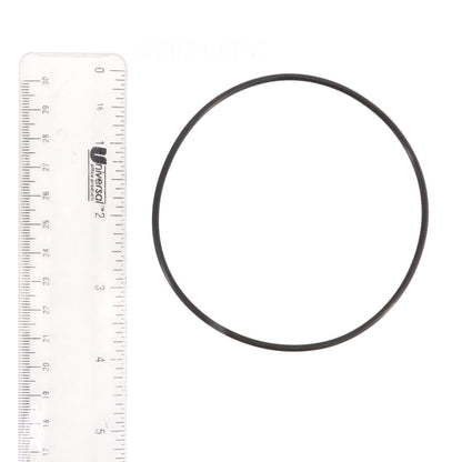 Pentair ColorVision O-Ring Kit - 590118Z