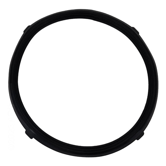 Pentair 619599Z Replacement Lens Gasket for AquaLumin® III Pool and Spa Lights