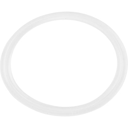 Waterway Flat Gasket, 1" Diverter Valvenull - 711-4310