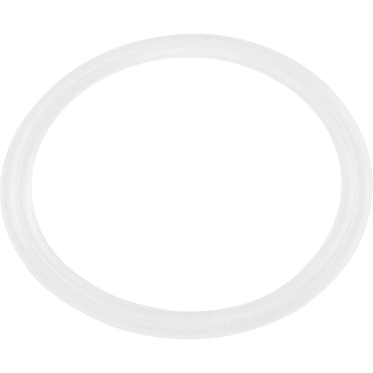 Waterway Flat Gasket, 1" Diverter Valvenull - 711-4310