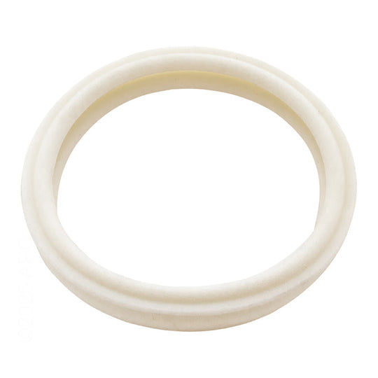 Pentair 4" Lens Gasket - 79108500Z
