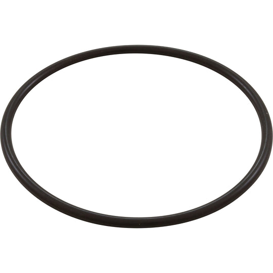 Waterway O-Ring 6" Trap Lid Bag - 805-0436B