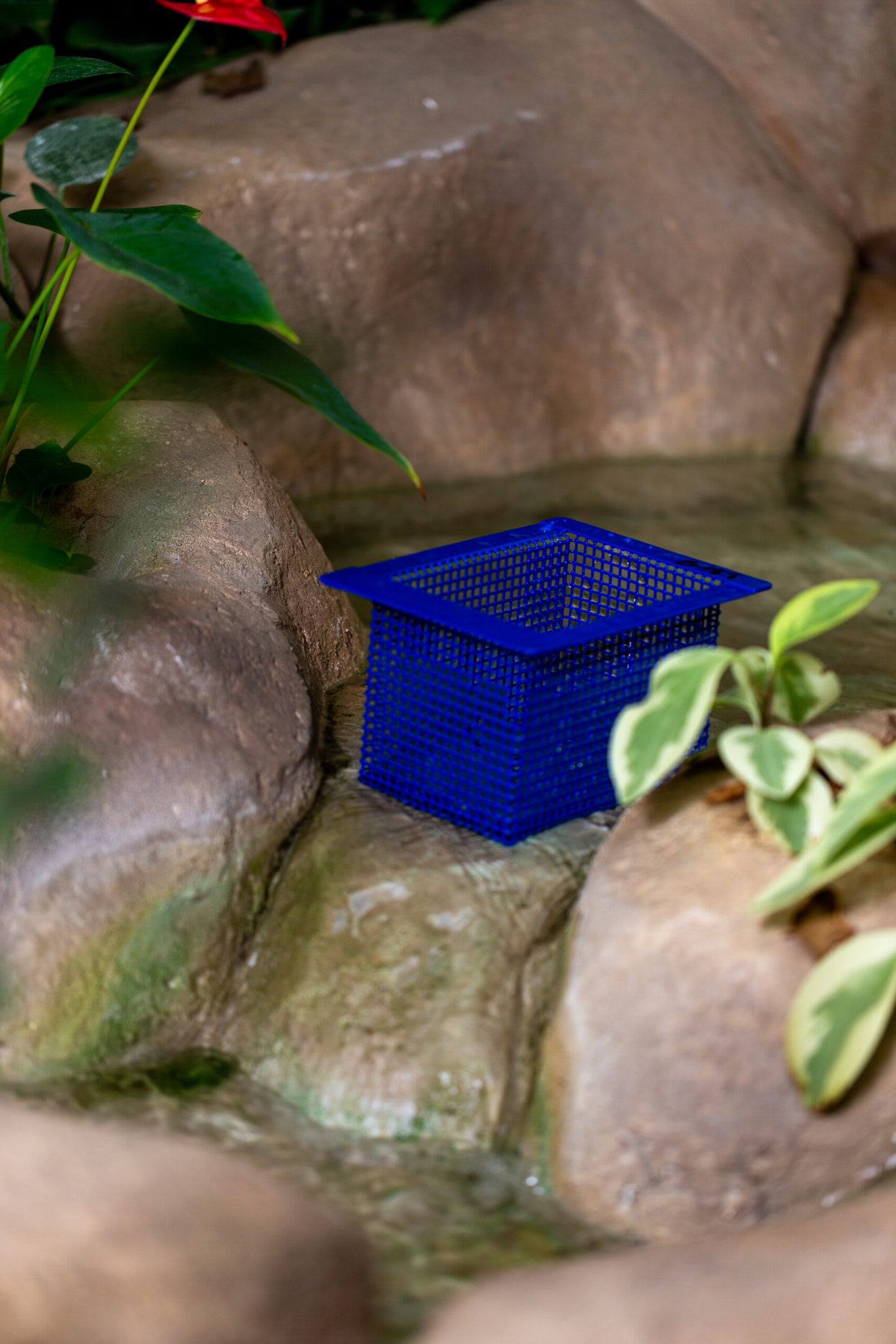 Aladdin Clayton Lampert Skimmer Basket, Metal | B-189
