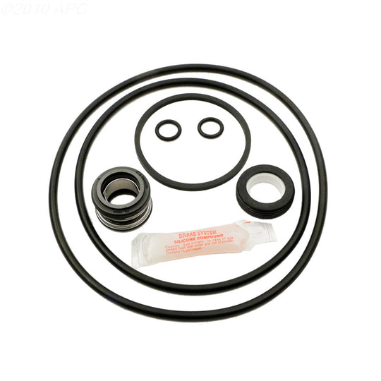 Aladdin Jacuzzi Magnum Pump Seal Kit - APCK1007