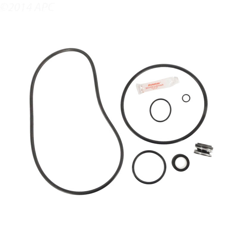 Sta-Rite MaxePro Pump Seal Kit - APCK1185
