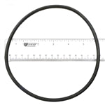 Hayward CX120D O-Ring