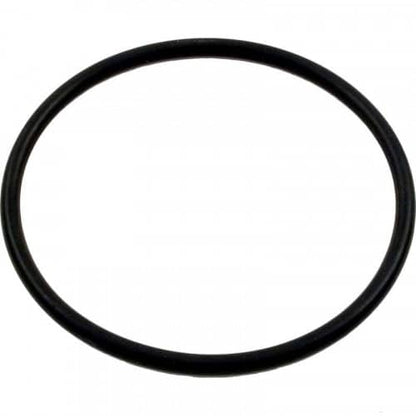Cmp Salt Cell O-Ring For Powerclean | 52000-200-101