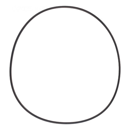 Polaris Zodiac 1-13-39 O-Ring For Polaris Caretaker Leaf-B-Gone