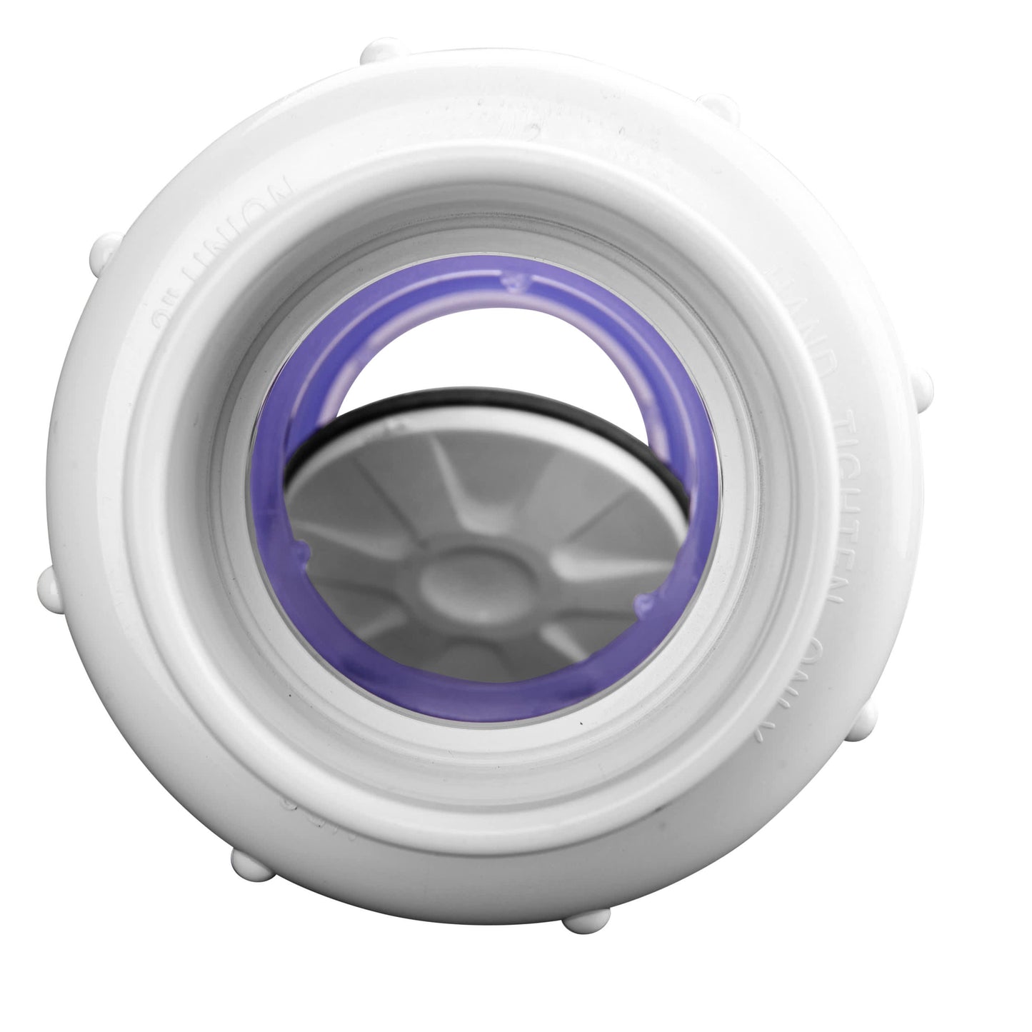 Swing Check Valve, 2" Slip Clear PVC 125 psi 1700 Series True Union Low-Profile with Flow Control