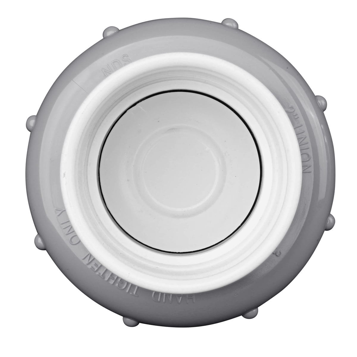 Check Valve Tru Union 2In  Spring  | 1790-20