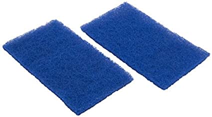 Hayward Spring Cleanup Filter, 2/Pack | RCX70103PAK2