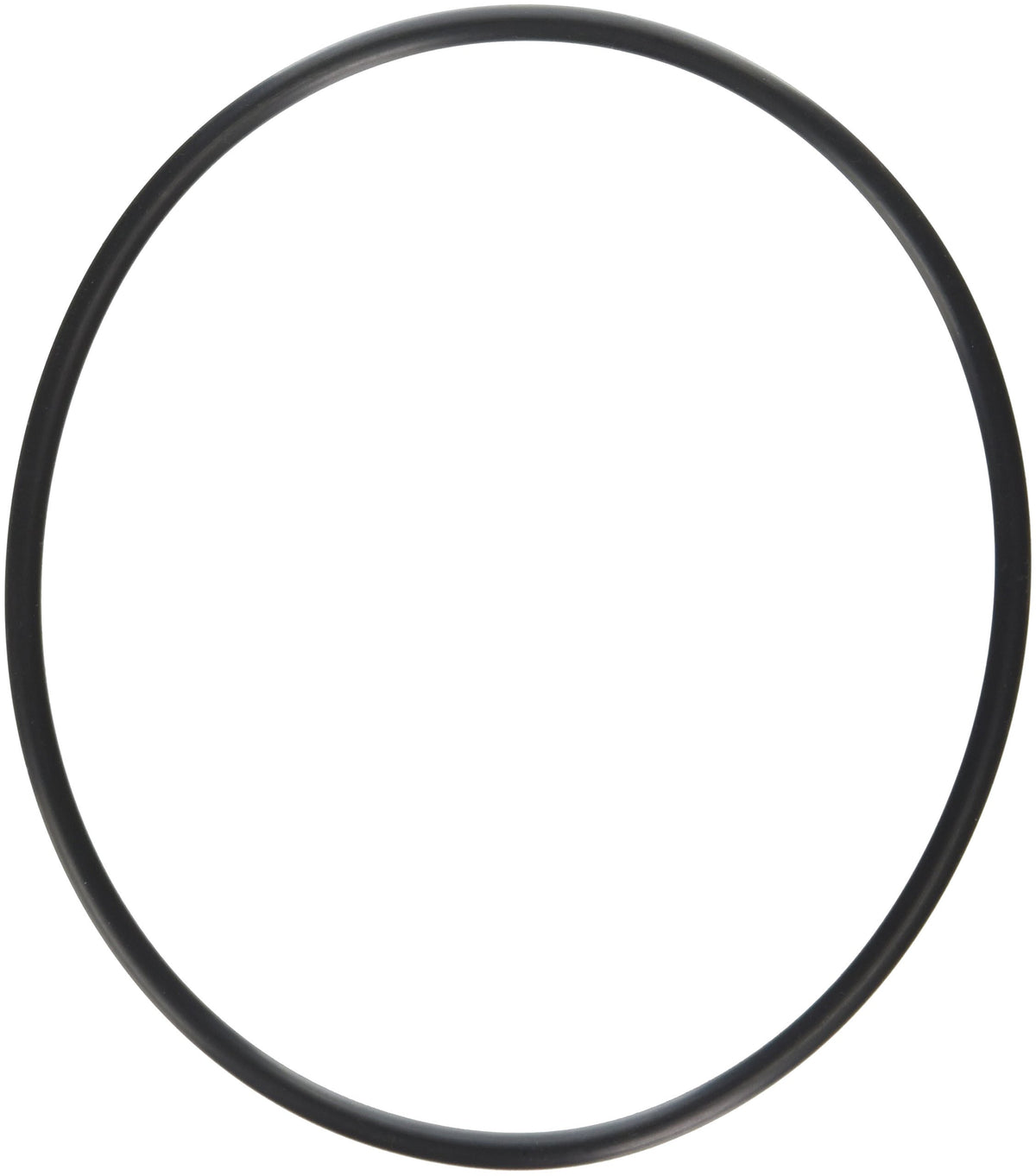 Hayward O-Ring | SPX0704F
