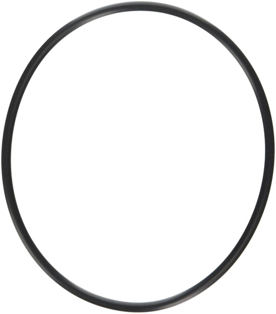 Hayward O-Ring | SPX0704F