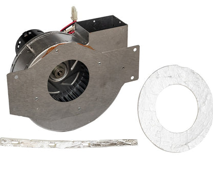 Hayward® IDXLBWR1930 H-Series Combustion Blower