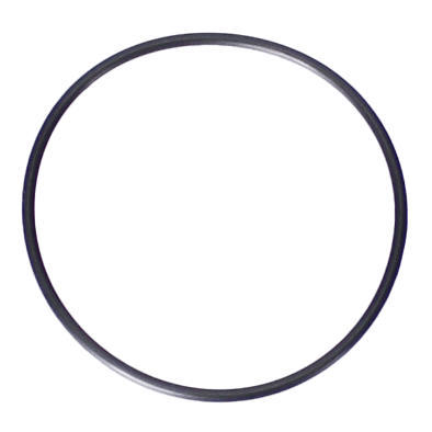 Jandy Pro Series O-Ring 2", Lx Union | R0412700