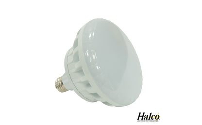 Halco LLWP-120-3 White LED R40 Pool Lamp 120V 300W