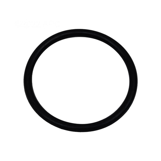 AquaComfort O-Ring GNR00009