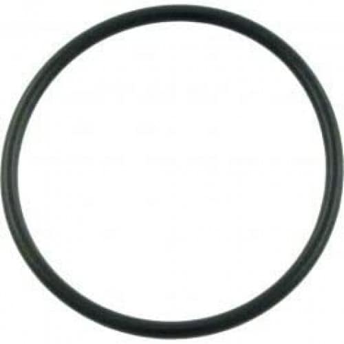 Pentair WhisperFlo #238 Diffuser O-Ring | 355227Z