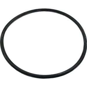 Pentair O-Ring 2-439 Buna N 50 | 39300600Z
