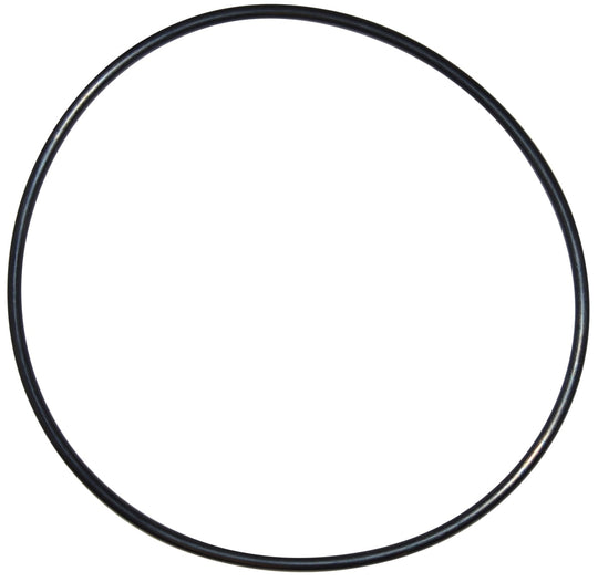 Pentair Seal Plate O-Ring | U9-228AZ