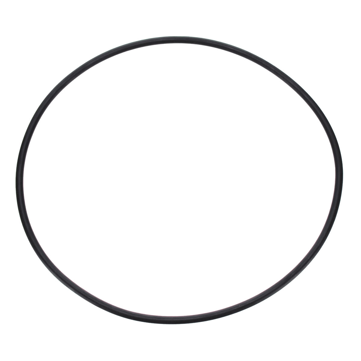 Pentair Seal Plate O-Ring | U9-228AZ