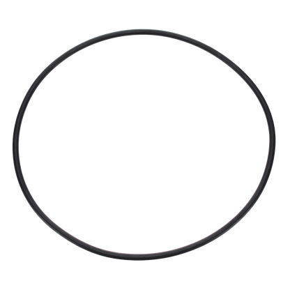 Pentair Seal Plate O-Ring | U9-228AZ